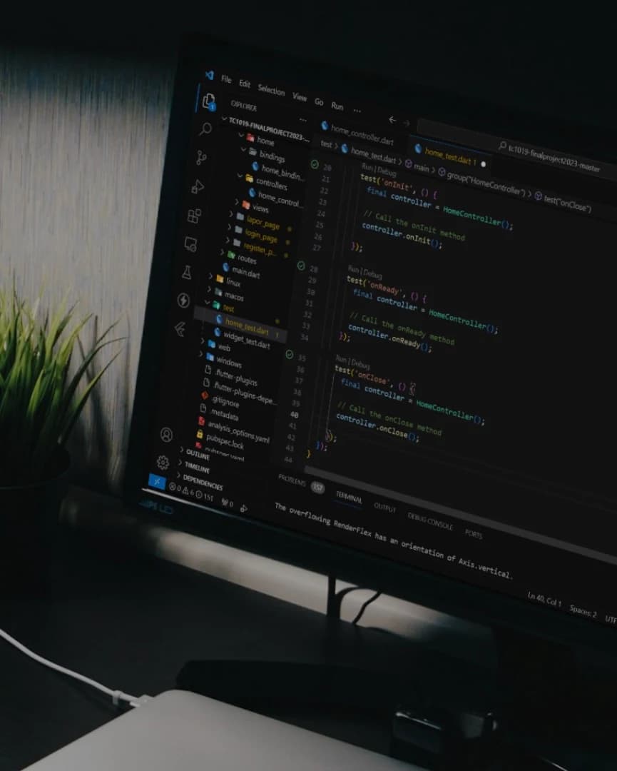 Website Development